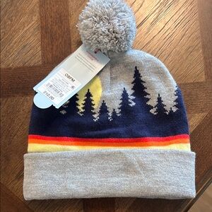 Gray and Blue Cuffed Beanie with Pom Pom